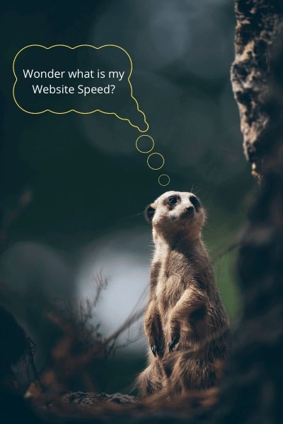 website loading speed