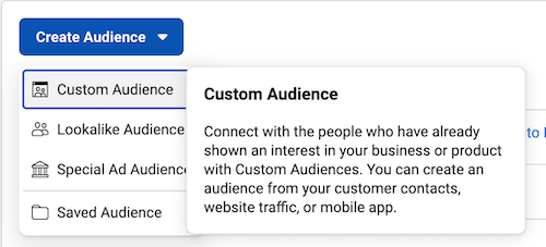 custom audience 