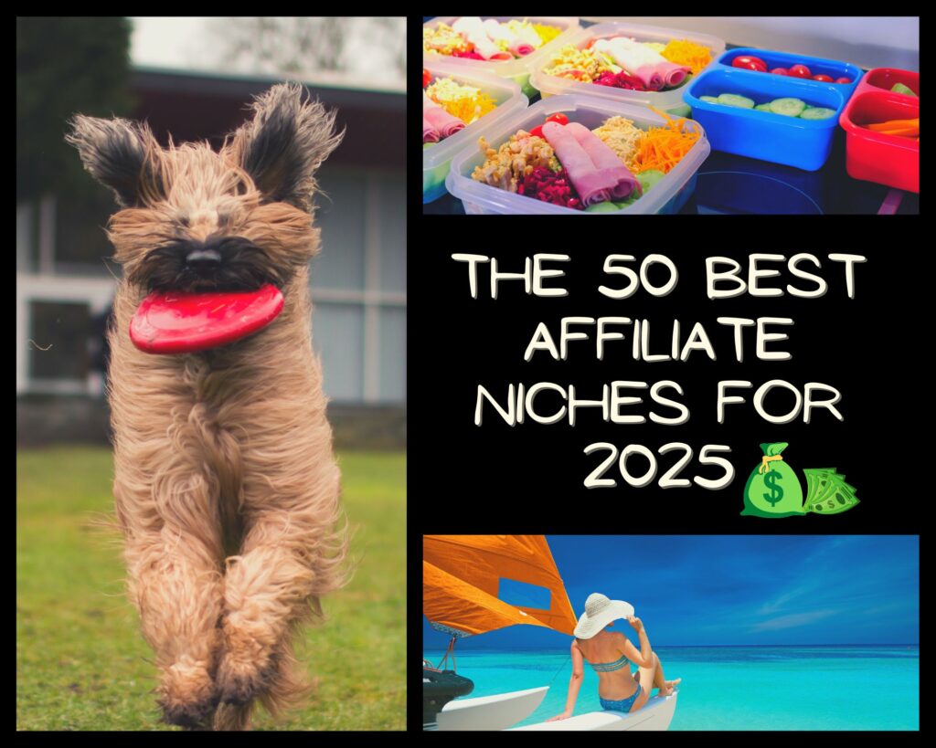 50 Profitable Niches for Affiliate Marketing in 2025