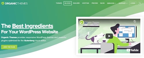 Organic theme wordpress 