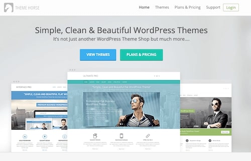 ThemeHorse wordpress 