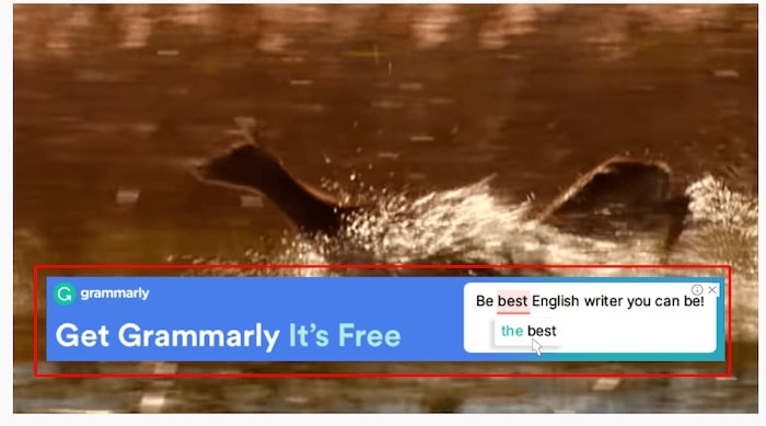 overlay non-video ads with grammarly