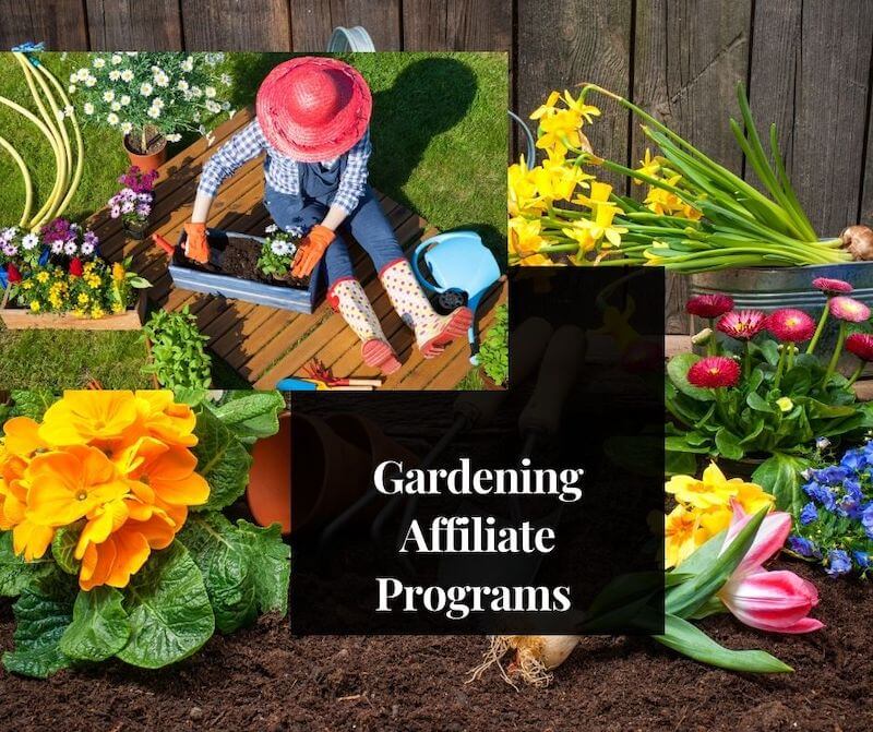 9 Best Gardening Affiliate Programs To Make Your Earnings Bloom