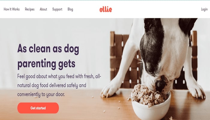  Ollie Affiliate Program 